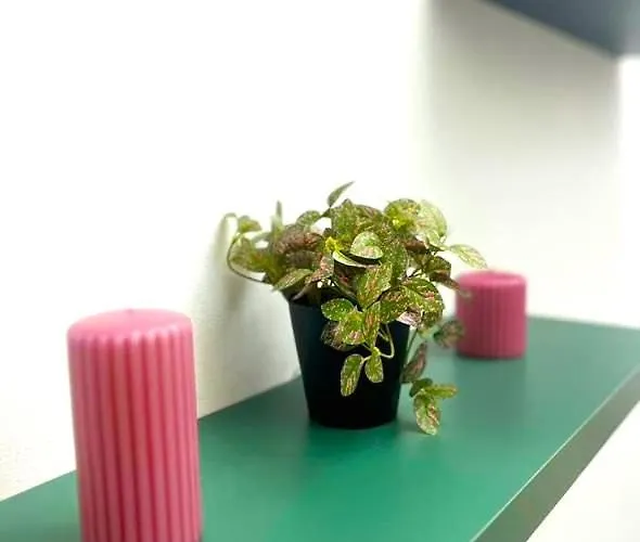 Sleep&fly Center - Transfer From Bgy Airport & Late Check-in Service Available * Bergamo